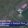 Man Stabbed in Central Park